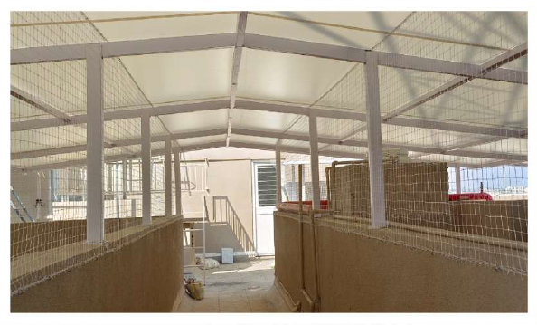 Corporate safety netting