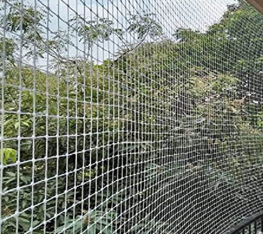 Bird Netting Services in Thergaon
