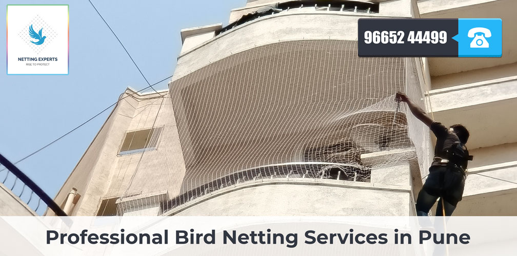 Protect Your Balcony from Unwanted Birds with Professional Bird Netting Services in Pune