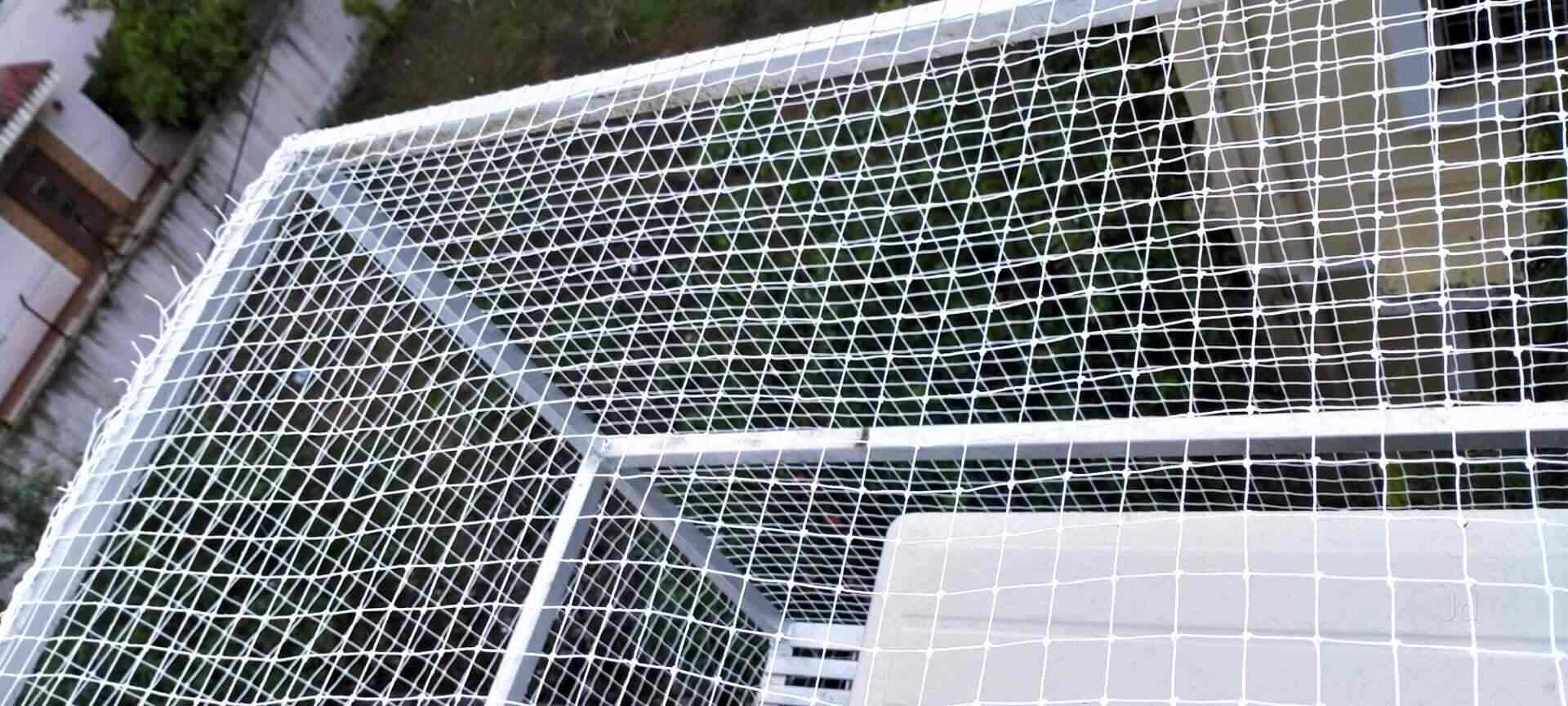 Protect Your Property and Crops with Bird Netting - Netting Experts