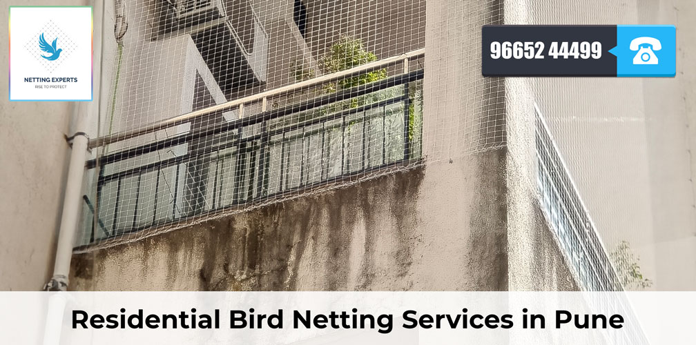 Residential Bird Netting Services in Pune: Protect Your Home from Bird Infestations